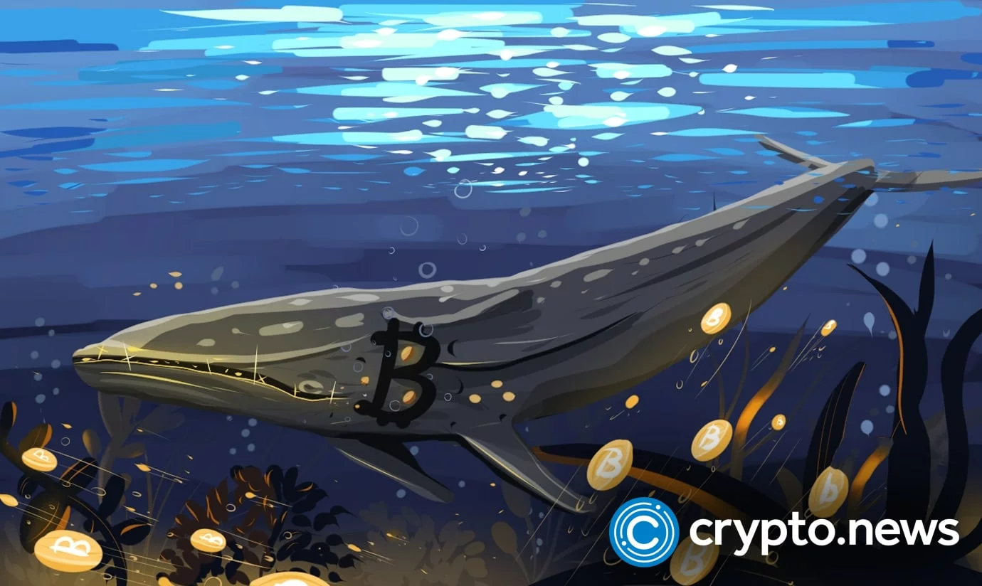نهنگ بیت‌کوین پس از ۶ سال ۳۷۸ میلیون دلار جابجا کرد؛ فروش در راه است؟